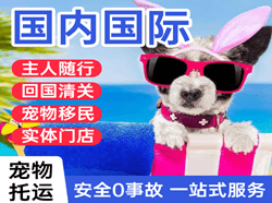合肥机场邮寄国际宠物托运 【国
